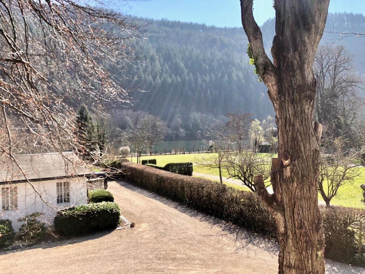 Ferienwohnung Weingut Villa Huesgen Am Moenchhof 트라벤트라바흐 외부 사진